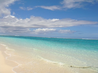 b0145861_1224614.jpg