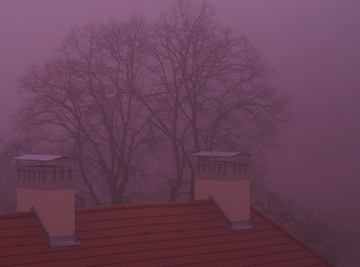 b0086362_21554544.gif
