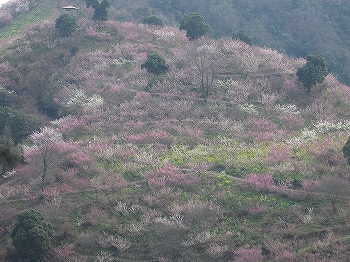 e0002466_20211136.jpg