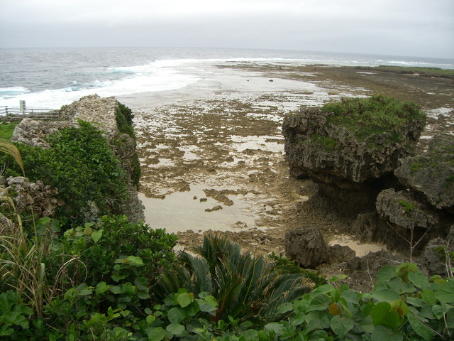 b0174068_2326122.jpg
