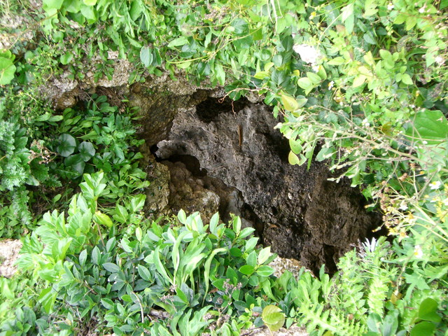 b0174068_2326340.jpg