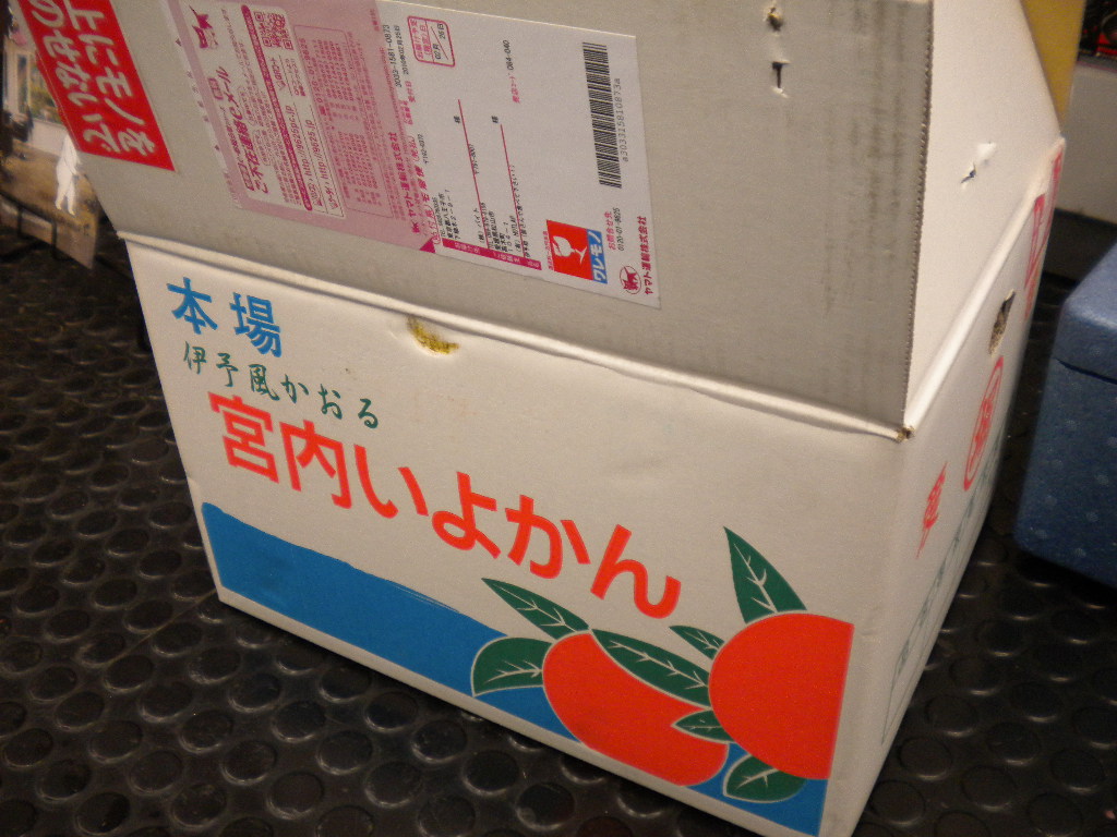f0186368_18275659.jpg