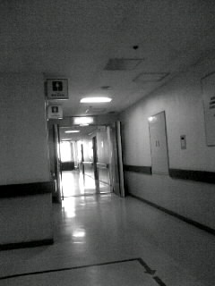 f0100480_21194059.jpg
