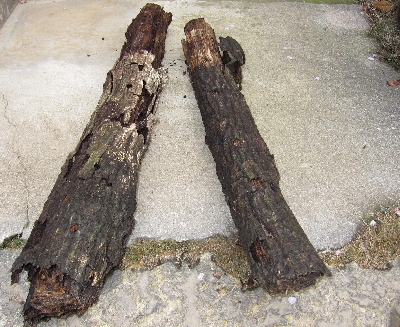 f0003283_1114166.jpg