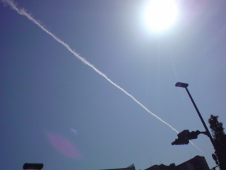 e0033384_22105186.jpg