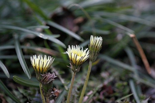 e0190885_20163841.jpg