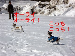 e0121589_18133075.jpg