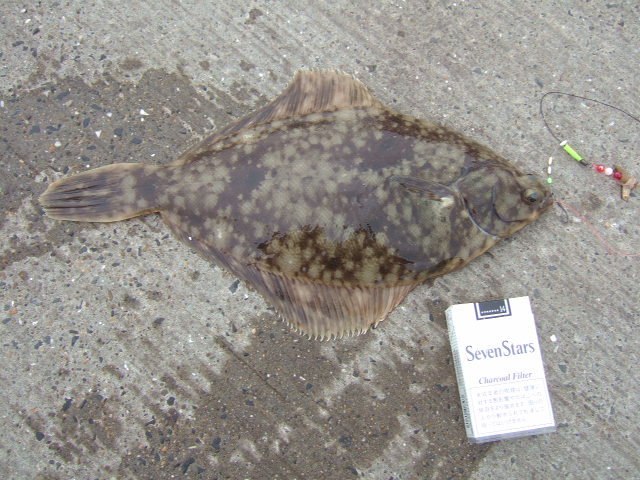 f0054290_10195184.jpg