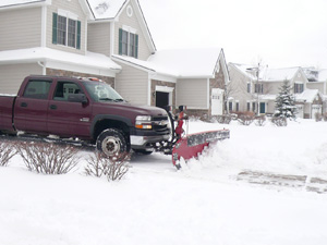 f0199394_7424274.jpg