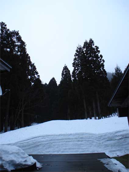 a0061599_7302629.jpg