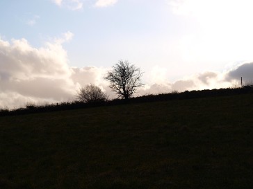 b0110999_4452231.jpg