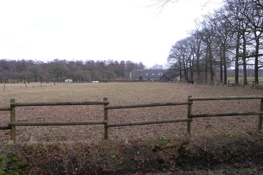 f0108399_23405440.jpg