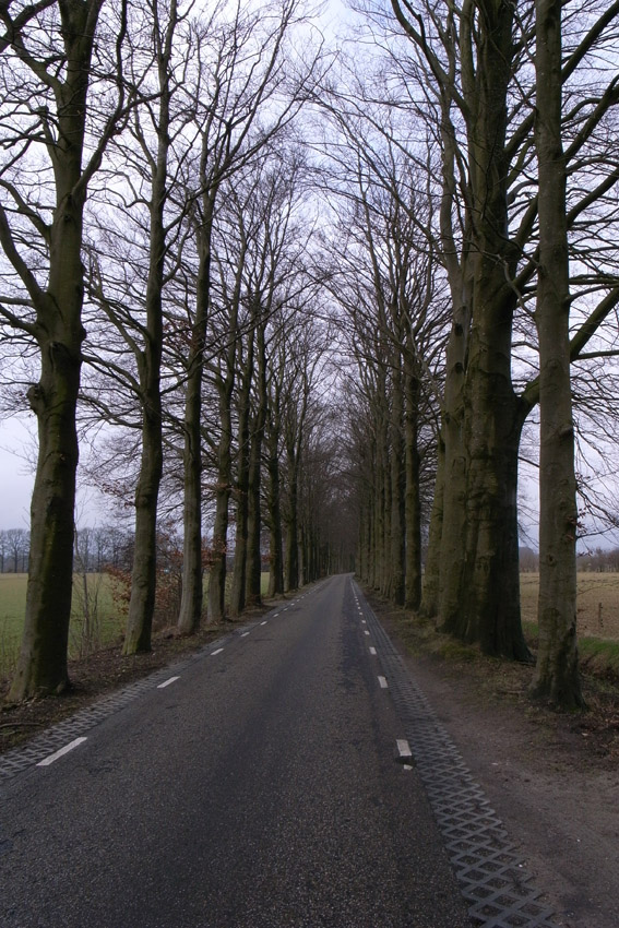 f0108399_23413281.jpg
