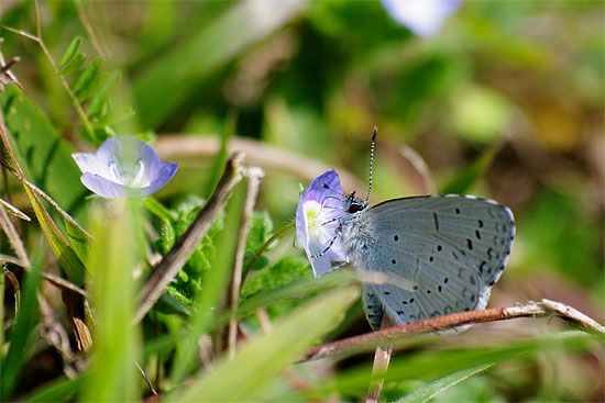 d0001300_21245496.jpg