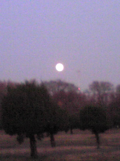 f0109202_20595151.jpg