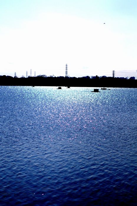 c0187503_21312720.jpg