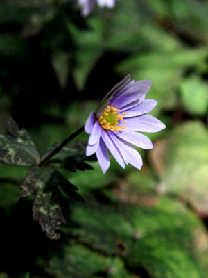 b0014607_2043691.jpg