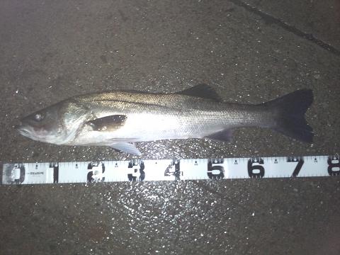 c0209312_12253981.jpg