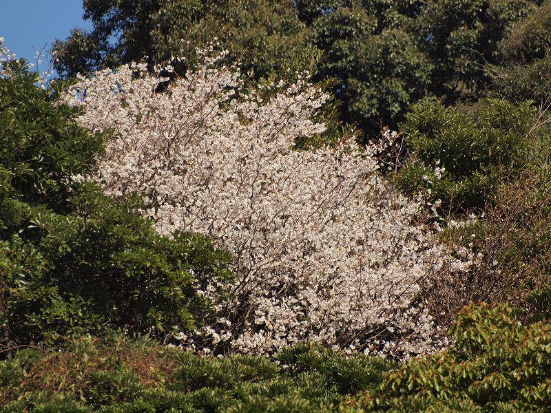 d0059213_21542644.jpg