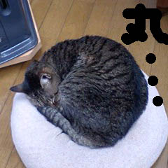 c0036617_8302443.jpg