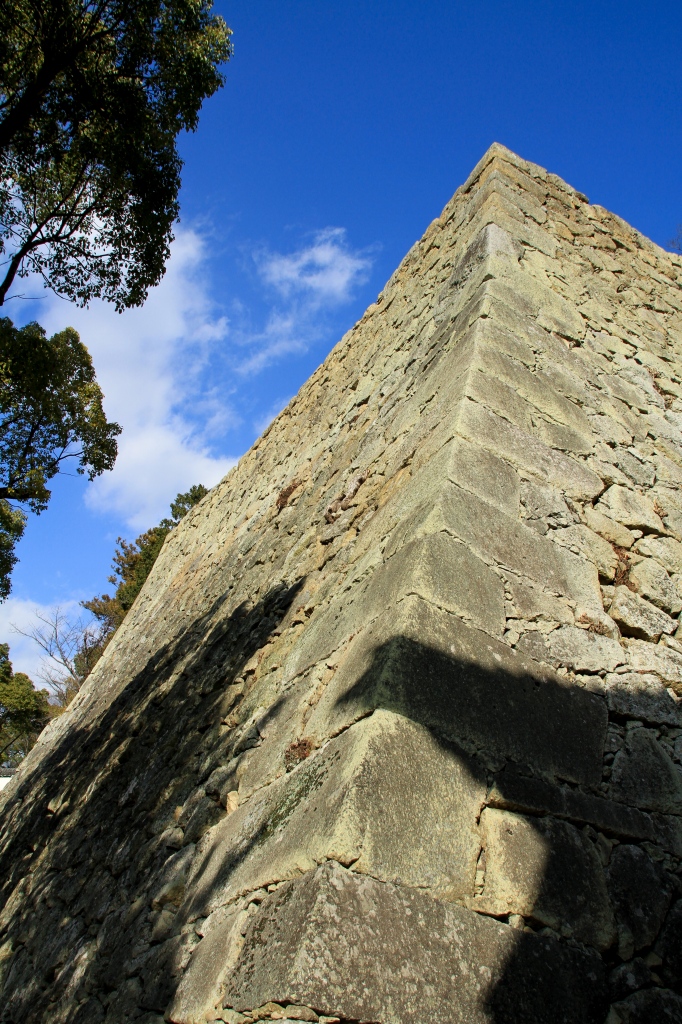 b0162824_10361436.jpg