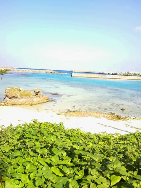 f0197325_19235854.jpg