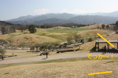 e0181928_1733490.jpg