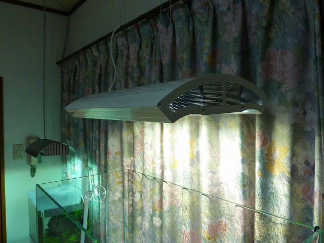 a0121134_9332661.jpg