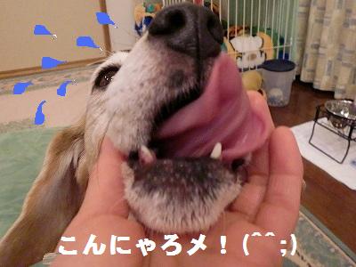 a0169935_12232765.jpg