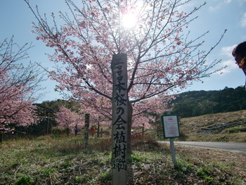 c0183137_22283592.jpg