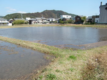 c0183137_2236670.jpg