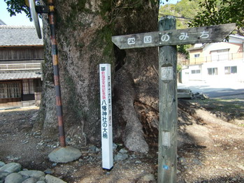 c0183137_2238279.jpg