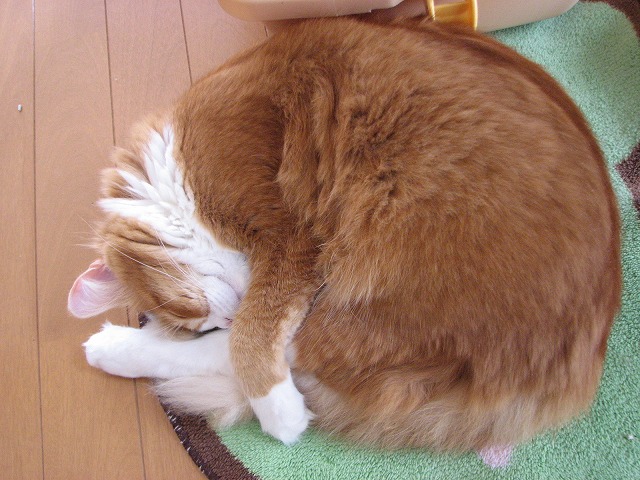 e0093742_21214790.jpg