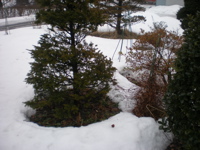 c0153444_818784.jpg