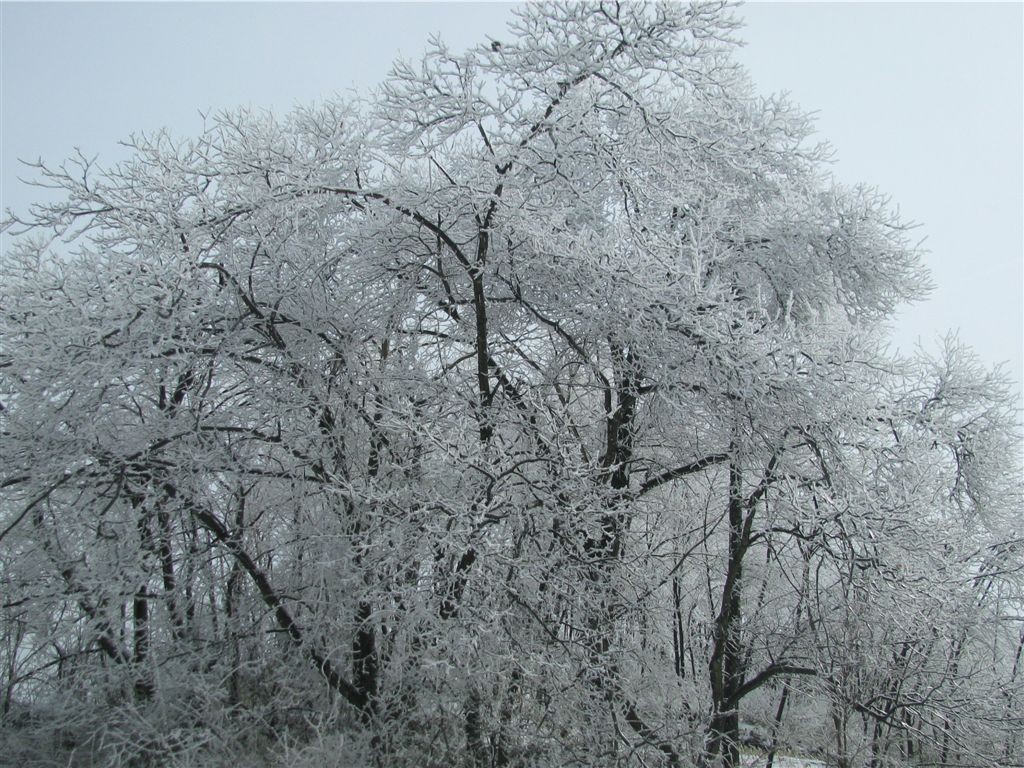 f0151044_19155042.jpg