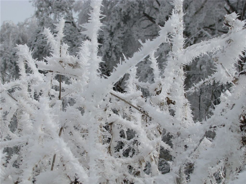 f0151044_19165083.jpg