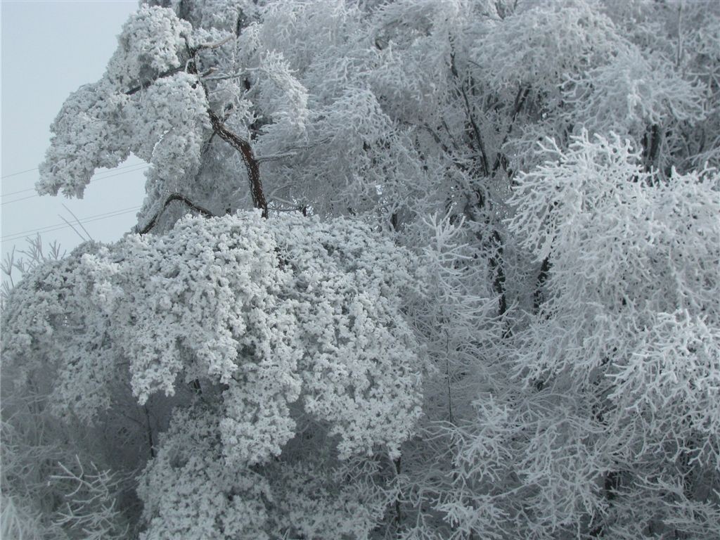 f0151044_19174047.jpg