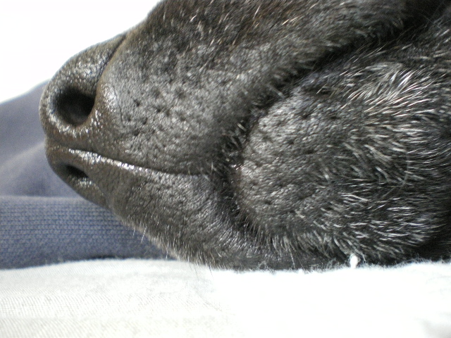 a0167545_21101761.jpg