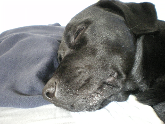 a0167545_2193938.jpg