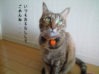 f0116546_17183162.gif