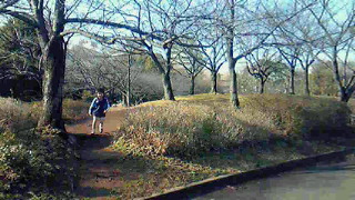 f0189246_21543333.jpg