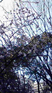 f0189246_21543374.jpg