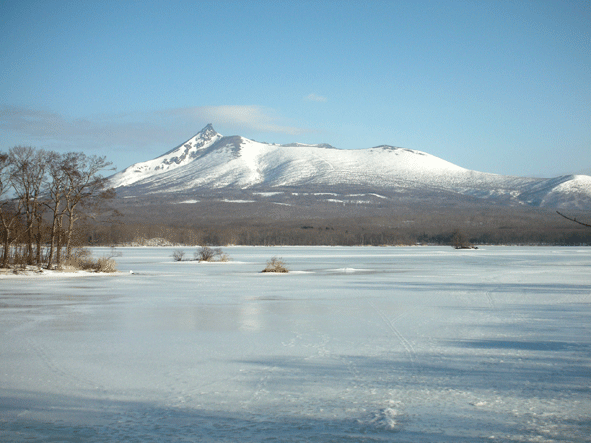 c0147548_1501077.gif