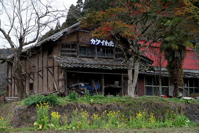 b0049152_1455159.jpg