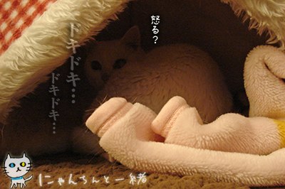 e0031853_5132154.jpg