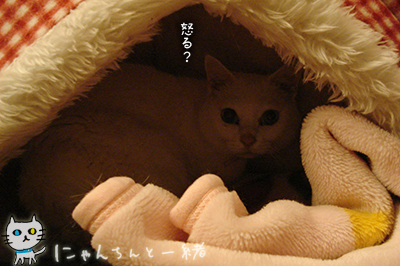 e0031853_5144111.jpg