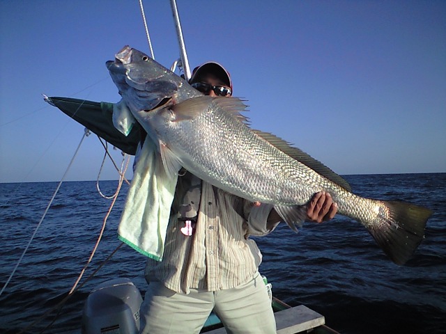 f0063356_1750942.jpg