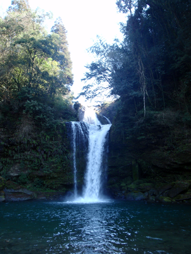 d0083859_225810100.jpg