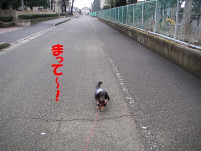 c0151866_20415647.jpg