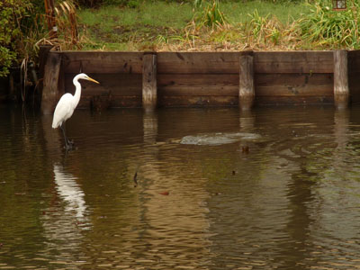 f0086169_2342628.jpg
